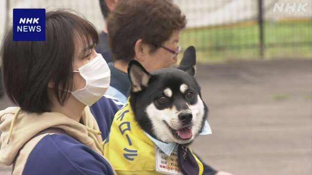 「犬のお巡りさん」に任命する委託式 警察署長が辞令交付 愛媛