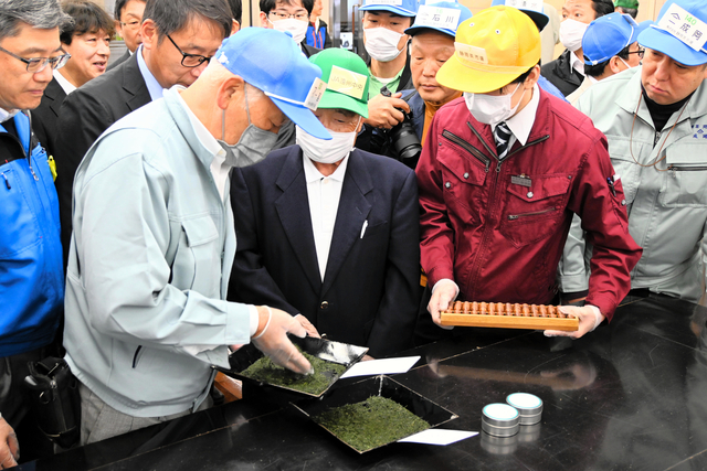 新茶シーズン到来、静岡茶市場で最も早い初取引　最高値は111万円