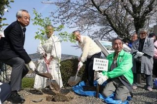 埼玉から「千本桜」達成　気仙沼、市民団体が植樹