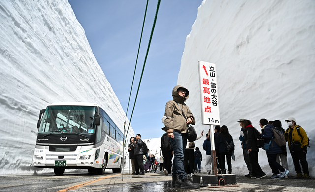 立山黒部アルペンルートが全線開通 雪の回廊、観光客でにぎわう