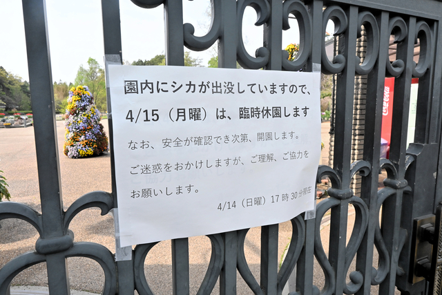 京都府立植物園にシカ2頭が出没　安全確保のため15日も休園