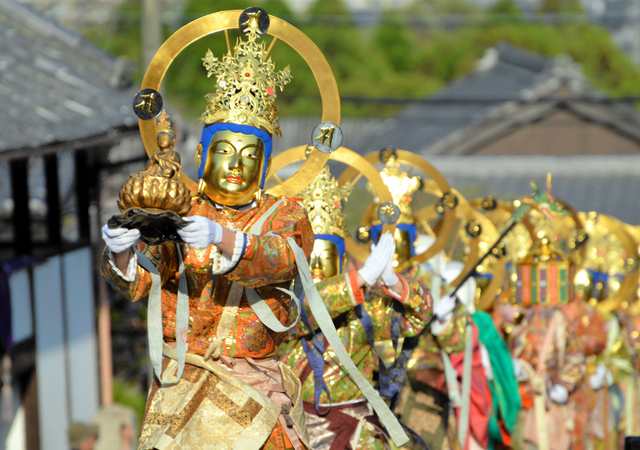 金色に輝く菩薩たちが大行列　奈良・當麻寺で荘厳な「仏教絵巻」