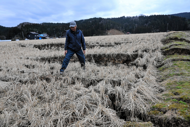 「米作付け6割、野菜5割」能登の被災地で営農再開見通し、県が公表