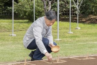 天皇陛下が皇居で種もみまき　農作業伝承の行事、秋に収穫