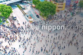 契約に反し再生材料混ぜ道路工事　NIPPO、耐久性を調査