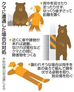 クマとの遭遇増加、要注意　人里に警戒心薄い個体も