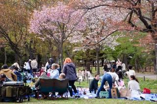 煙の出ないお花見賛否両論、札幌　ジンギスカン・パーティー禁止