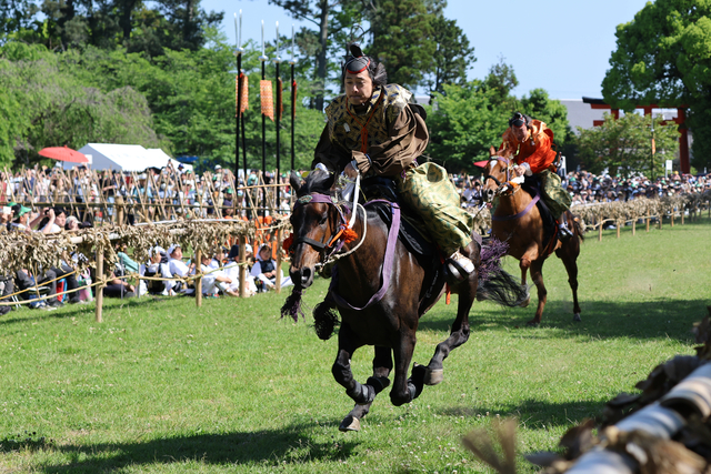 義満も信長も見た「賀茂競馬」　上賀茂神社で疾走、勝ったのは…