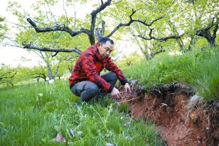 畑に70センチの段差が…「奥能登を離れることも考えた」　絶望の縁で踏みとどまった柿生産者の決意