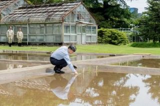 天皇陛下、皇居で田植え　農業奨励の恒例行事