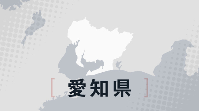 「十分な風が吹かず」　中部電力、風力発電事業の検討を取りやめ