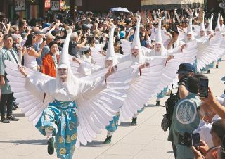 シラサギの群れが舞った　浅草・三社祭が開幕「まるで別世界」　「宮出し」は最終日の19日