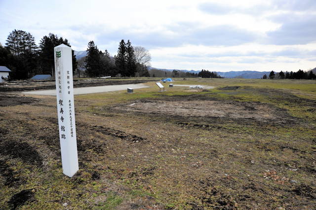 戦国大名も虜に？　南部氏館跡からサイコロとコマ出土、鹿の角製か