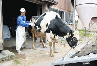 地震で「牛に水を飲ませられなかった」…廃業を決めた酪農家の胸中　赤字が続く中で再建支援は十分でなく