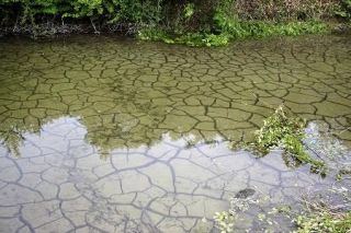 工事で水位低下、報告遅れ遺憾　岐阜知事、ＪＲ東海リニア建設に