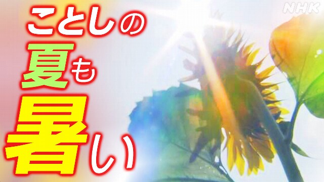 6～8月の気温 平年より高い見込み 十分な熱中症対策を 気象庁