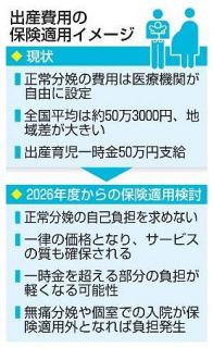 出産費用、自己負担なしを検討　政府、正常分娩に保険適用案