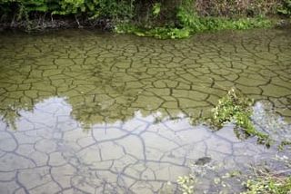 工事で水位低下、報告遅れ遺憾　岐阜知事、JR東海リニア建設に