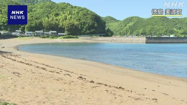 アカウミガメ上陸の痕跡 2年ぶりの産卵確認へ期待 徳島 美波町