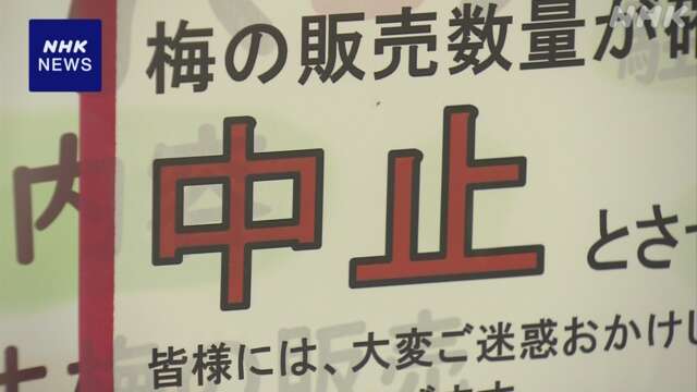 異変 “梅が不作で…” イベント中止も 埼玉 越生町