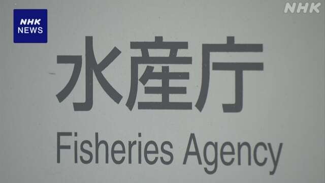 水産業強化の補助事業 “所得の誤った算出”で成果把握できず