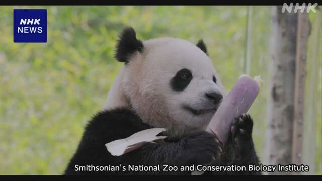 中国 アメリカの動物園に再びジャイアントパンダ貸し出しへ