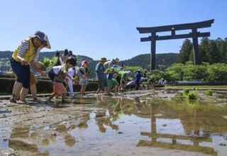 水田広がる「大斎原」の景観を後世に　熊野本宮大社旧社地、稲作体験で協力