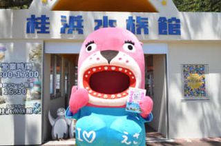 水族館のトドがエッセー、笑いと涙描く　公式キャラ、飼育員や動物と過ごした日常