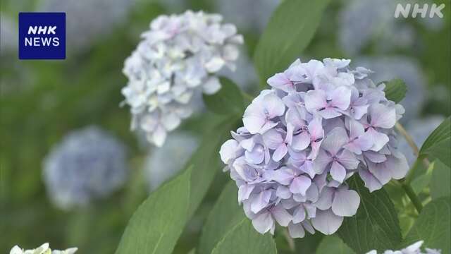 “九州北部が梅雨入り” 平年より13日遅く 去年より19日遅く