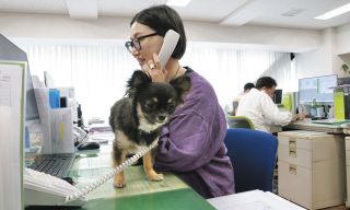 「ワンワンデー」職場に犬がいる良い効果とは？　グーグルやアマゾンが導入　幸せな雰囲気、仕事の効率アップも期待