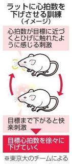 訓練で意識的に心拍数下げられる　東大チーム、脳内の仕組みを解明