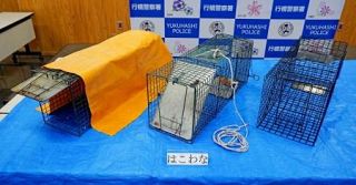 猫６匹殺し死骸投棄疑い、福岡　農業の６６歳男性書類送検