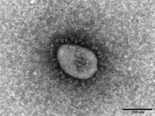 コロナ感染、7週連続で増加　最多は沖縄、1機関25人超