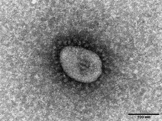 コロナ感染、７週連続で増加　最多は沖縄、１機関２５人超