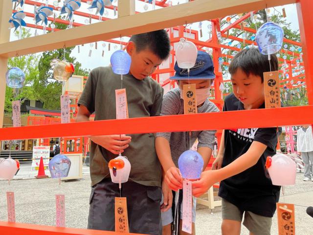 お気に入りの風鈴見つけて　ユニークな1千個、新潟市の神社で揺れる