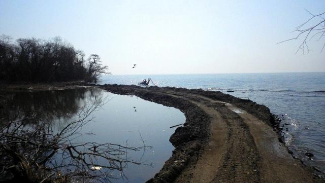 琵琶湖に無許可で埋め立て道路　半世紀認めてない滋賀県告発「悪質」