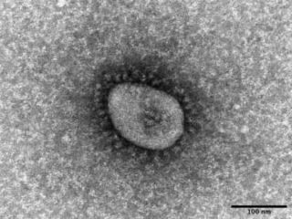 新型コロナ感染、8週連続で増加　沖縄で1機関30人に迫る