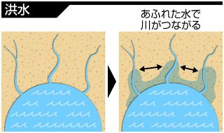 ＜人には聞けない2.0＞淡水魚　なぜ離れた各地の川に