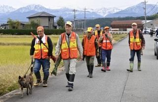 市街地出没のクマ、銃猟可能に　環境省、鳥獣保護管理法を改正へ