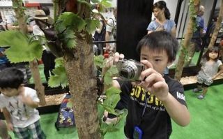 スカイツリーで「大昆虫展」　夏休みはカブトムシと触れ合おう