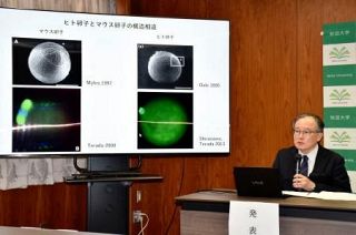 受精卵の詳細観察に成功、秋田大　「不妊症の原因解明に役立つか」