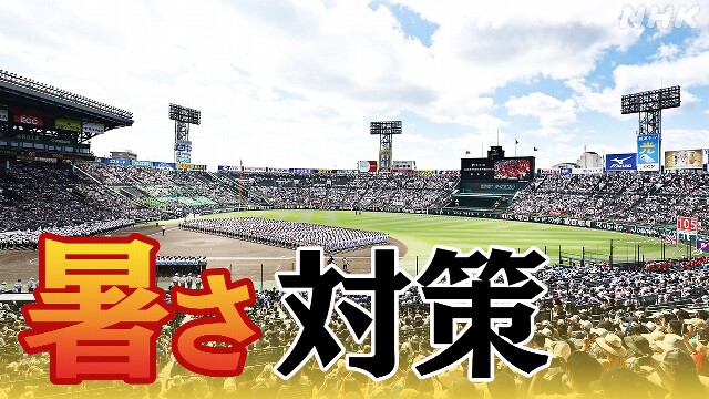 夏の全国高校野球 暑さから選手をどう守る 全都道府県を調査