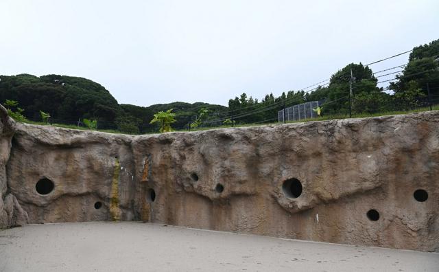 泥遊びや水浴び、ゾウの姿を楽しんで　福岡市動物園がリニューアル