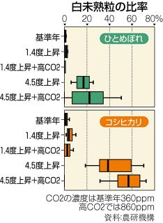 ＜フロンティア発＞温暖化に強いコメ 開発急務