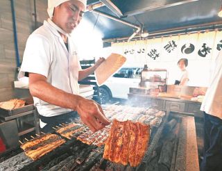 ウナギ価格が高騰したまま、また土用の丑の日が迫る…打開の切り札「完全養殖ウナギ」はいつ食卓に届く？