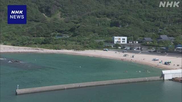 福井 海水浴場で男性イルカにかまれ軽傷 県内7月以降13人けが