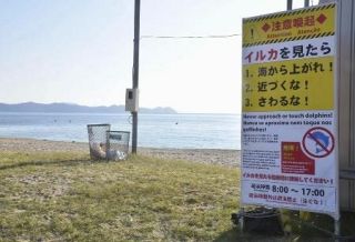 福井、イルカに襲われ３人けが　美浜町の海水浴場