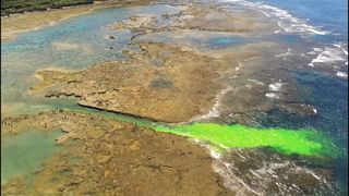 【動画】泳ぎのプロも無力、「離岸流」を記者が体験　流されたら「横へ泳げ」