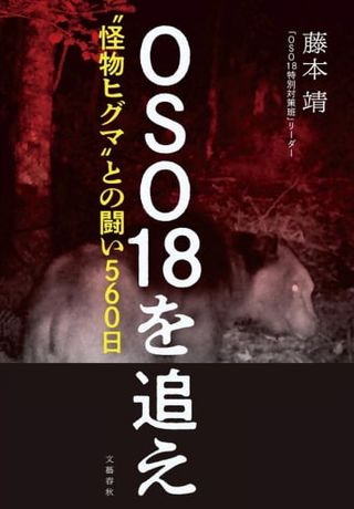 ヒグマOSO18追跡記録書籍化　対策班「実態伝えたい」