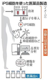 ｉＰＳ由来の新薬、全自動化支援　政府「製造・販売」見据え